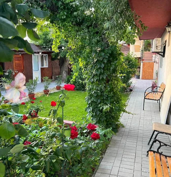 Vila Iris Mamaia Nord-1